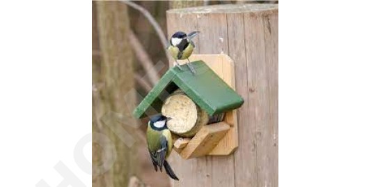 pindakaas voor vogels verschillende smaken
